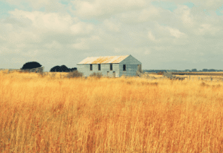 Agriculture Safety & Risks